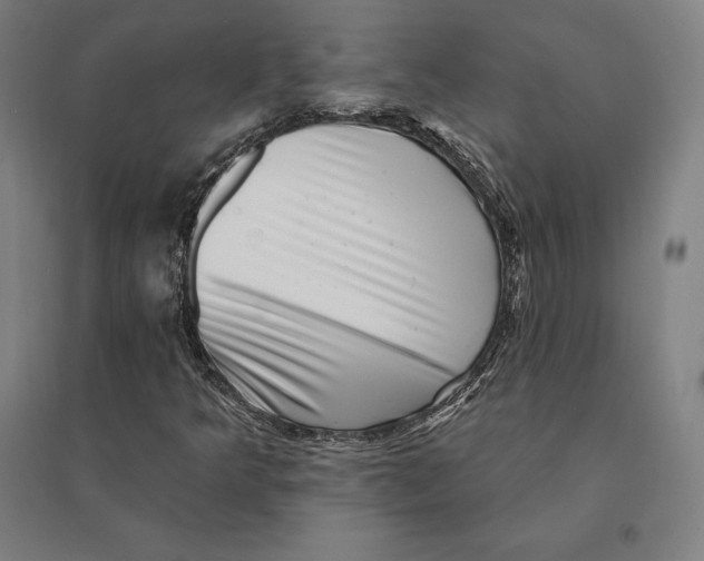 X0000095131349200712301815