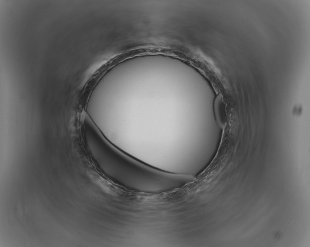 X0000095131352200712301815