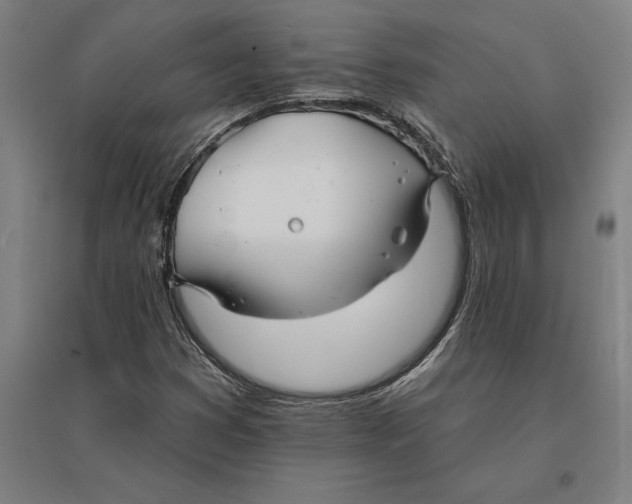 X0000095131353200712301815