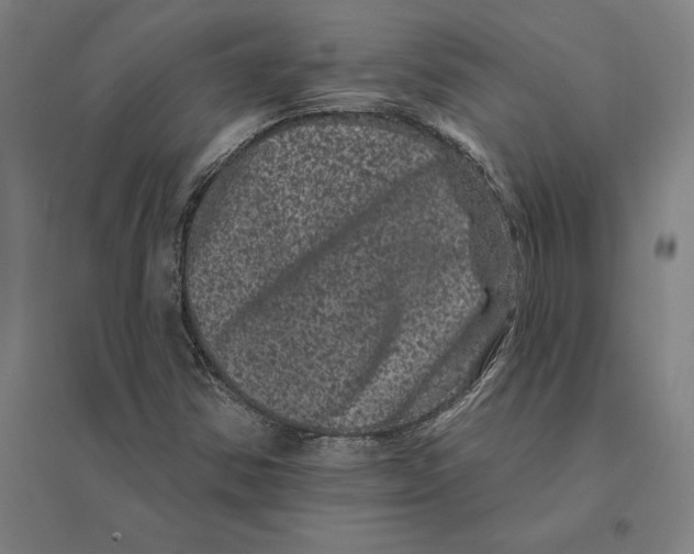 X0000095131354200712301815