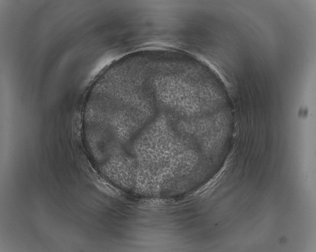 X0000095131355200712301815