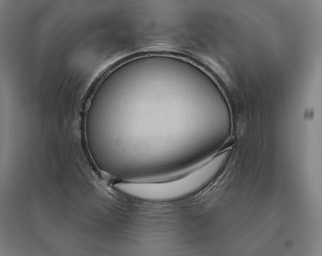 X0000095131356200712301815