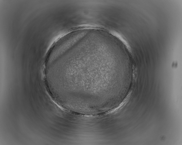 X0000095131357200712301815