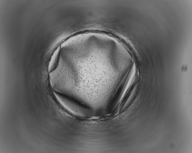 X0000095131359200712301815