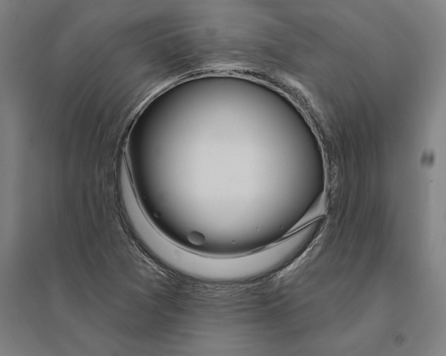 X0000095131361200712301815