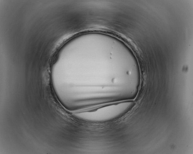 X0000095131363200712301815