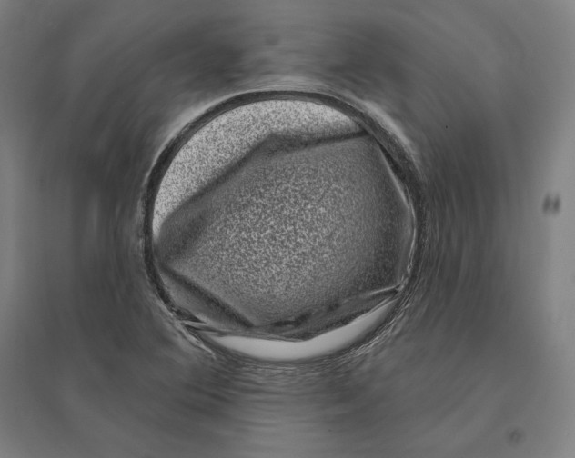 X0000095131364200712301814