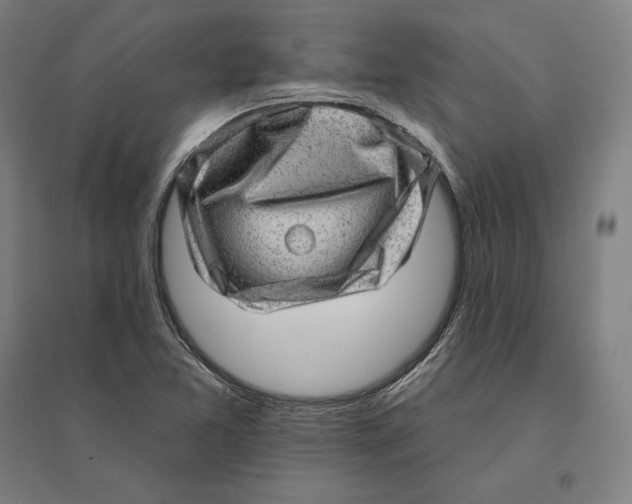 X0000095131365200712301814