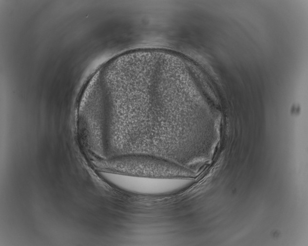 X0000095131366200712301814