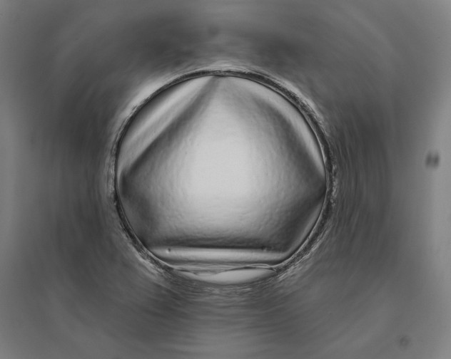 X0000095131367200712301814