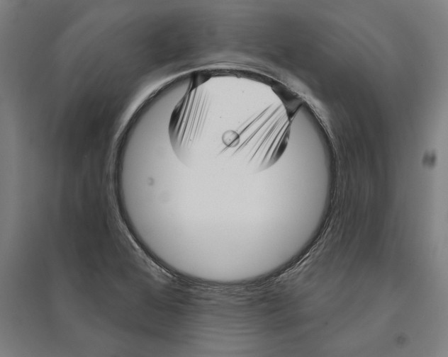 X0000095131368200712301814