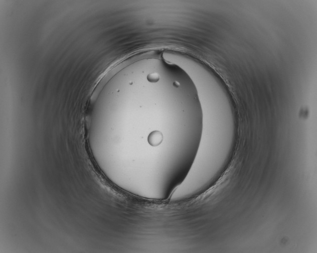 X0000095131369200712301814