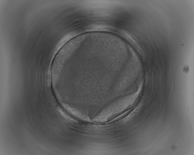 X0000095131370200712301814