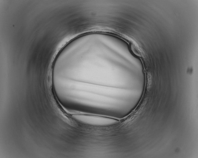 X0000095131371200712301814