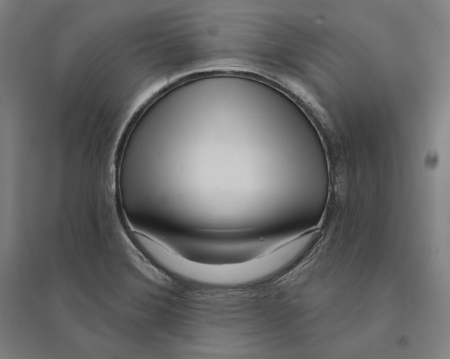 X0000095131372200712301814