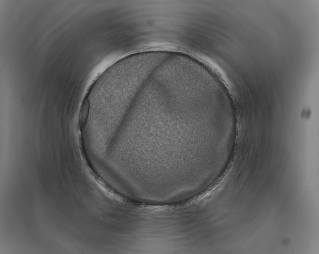 X0000095131373200712301814