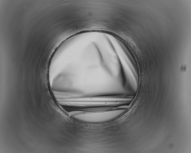 X0000095131374200712301814