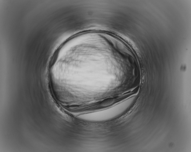 X0000095131375200712301814