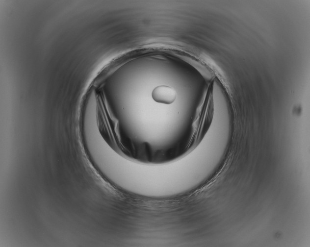 X0000095131376200712301814