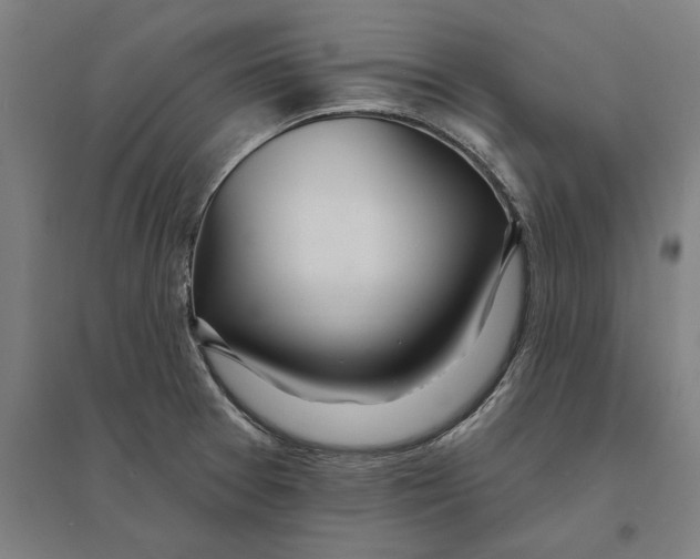 X0000095131377200712301814