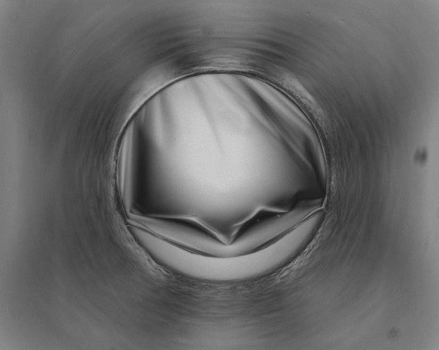 X0000095131378200712301814