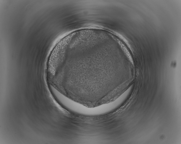 X0000095131379200712301814