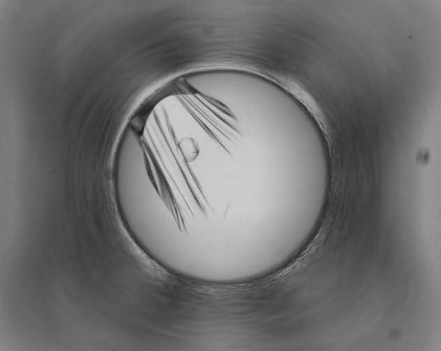 X0000095131380200712301814