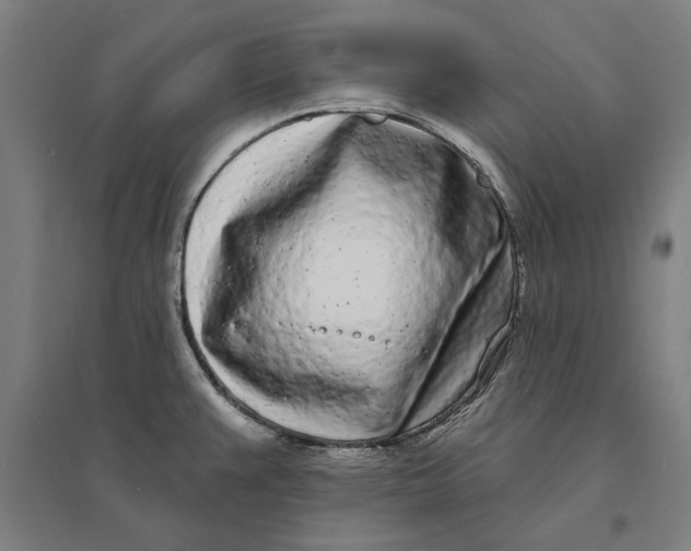 X0000095131383200712301814