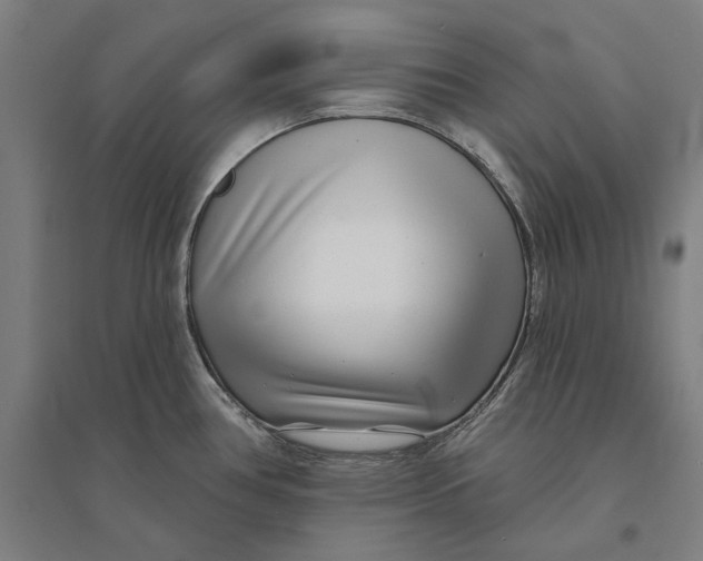 X0000095131386200712301814