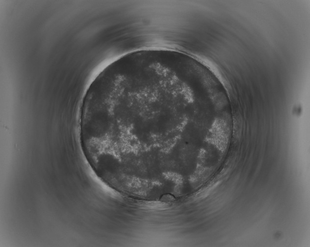 X0000095131387200712301814