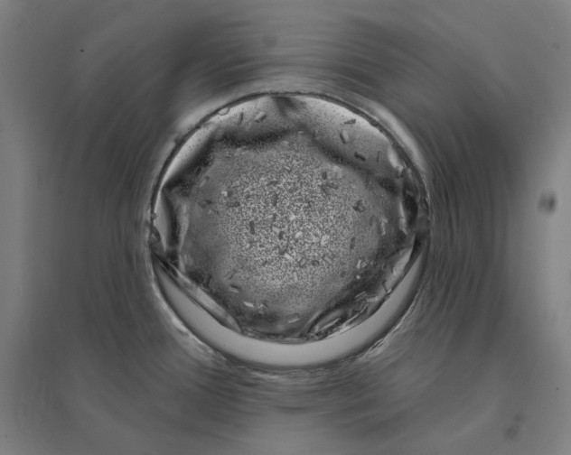 X0000095131388200712301814