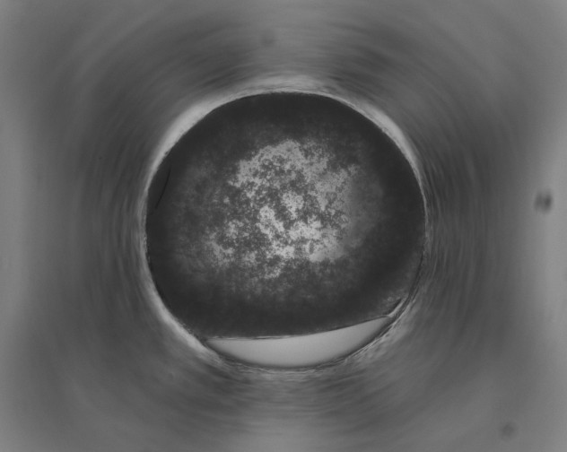 X0000095131389200712301814