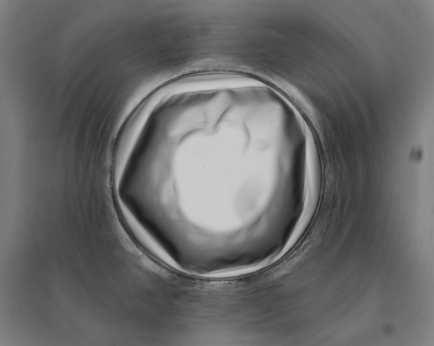 X0000095131390200712301814