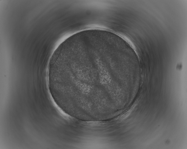 X0000095131391200712301814