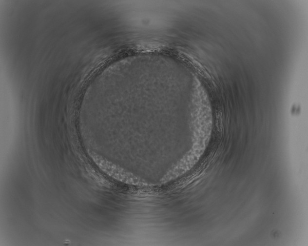 X0000095131393200712301813