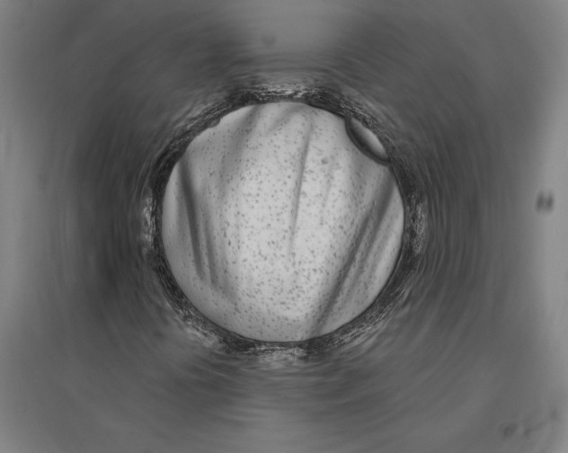 X0000095131394200712301813