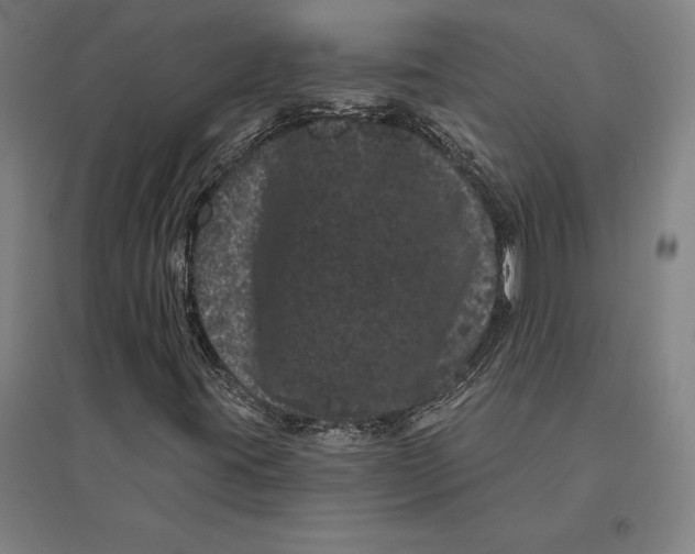 X0000095131395200712301813