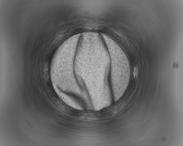 X0000095131396200712301813