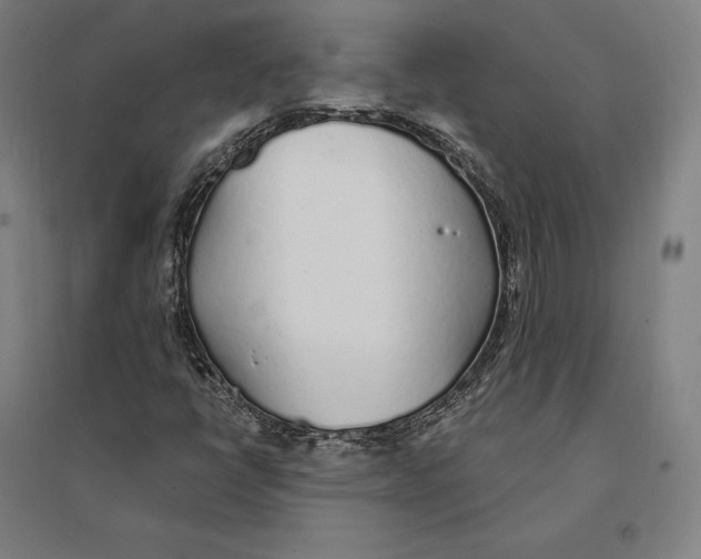 X0000095131398200712301813