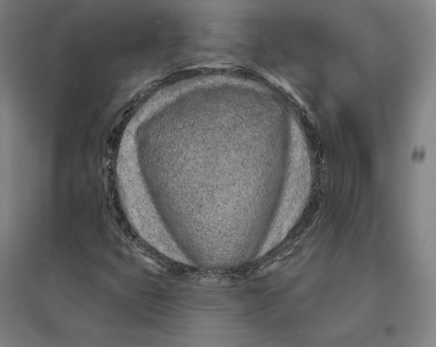 X0000095131399200712301813