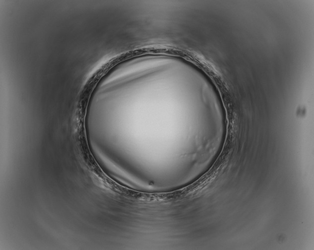 X0000095131400200712301813