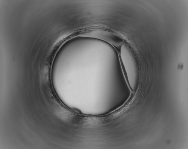 X0000095131402200712301813