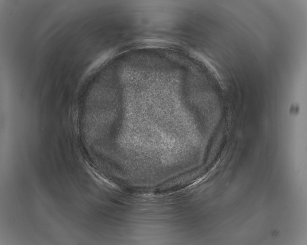 X0000095131403200712301813