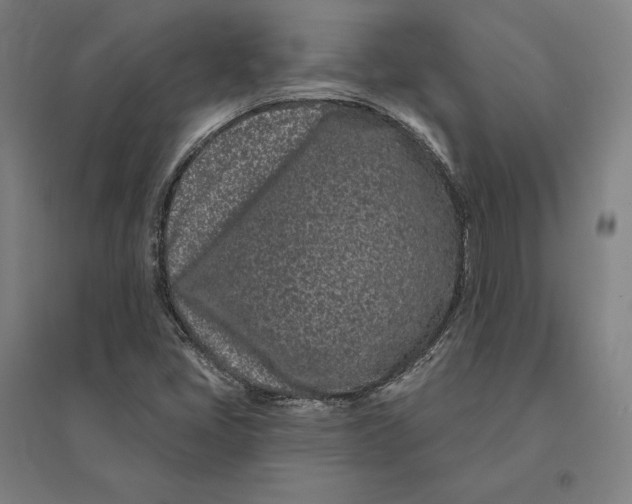 X0000095131405200712301813