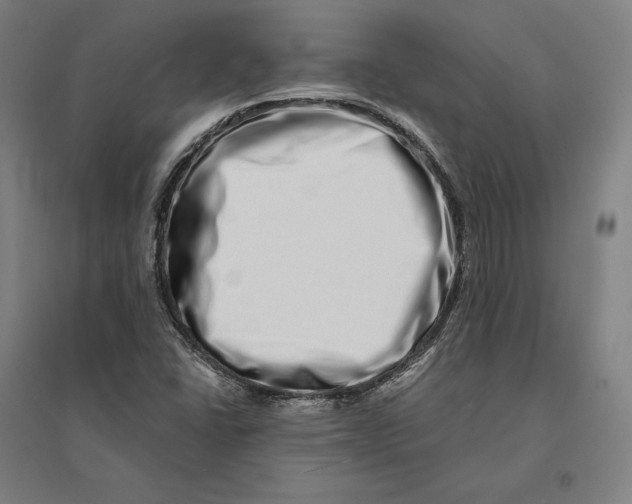 X0000095131406200712301813