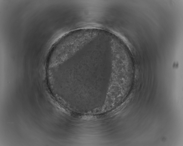 X0000095131407200712301814