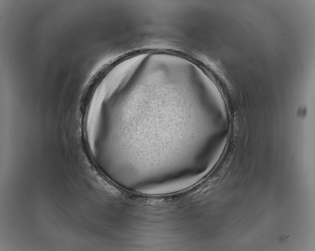 X0000095131408200712301814