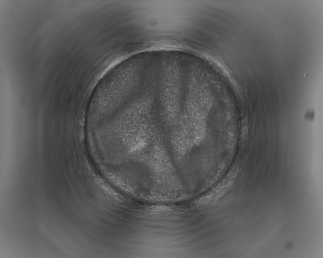 X0000095131409200712301814