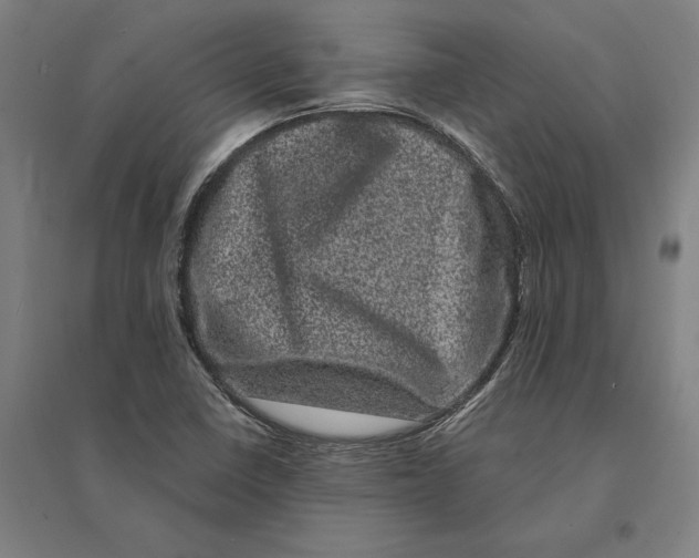 X0000095131410200712301814