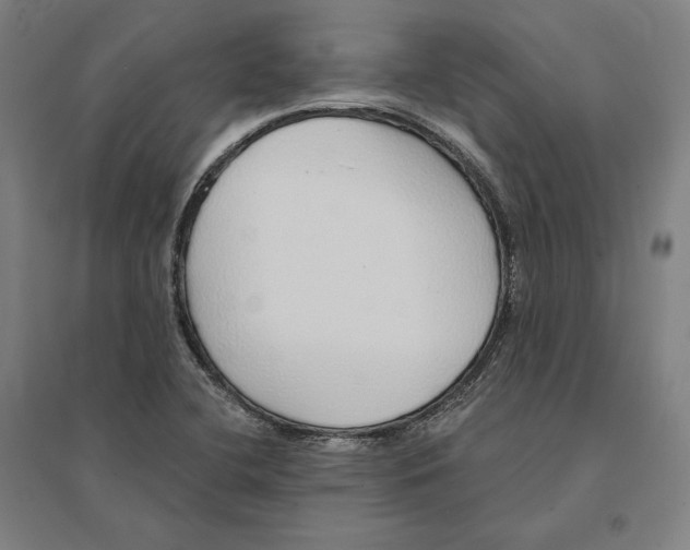 X0000095131412200712301814